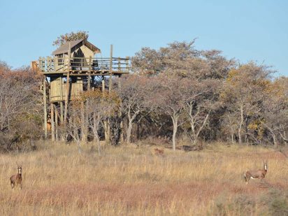 south africa game lodge