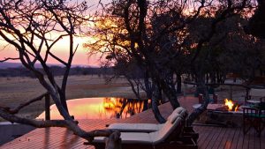 zangarna game lodge