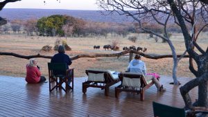 zangarna game lodge