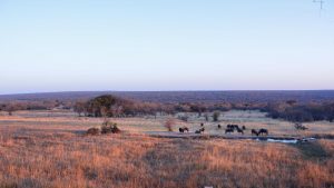 zangarna central lodge