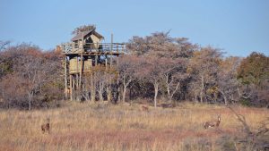 zangarna game lodge