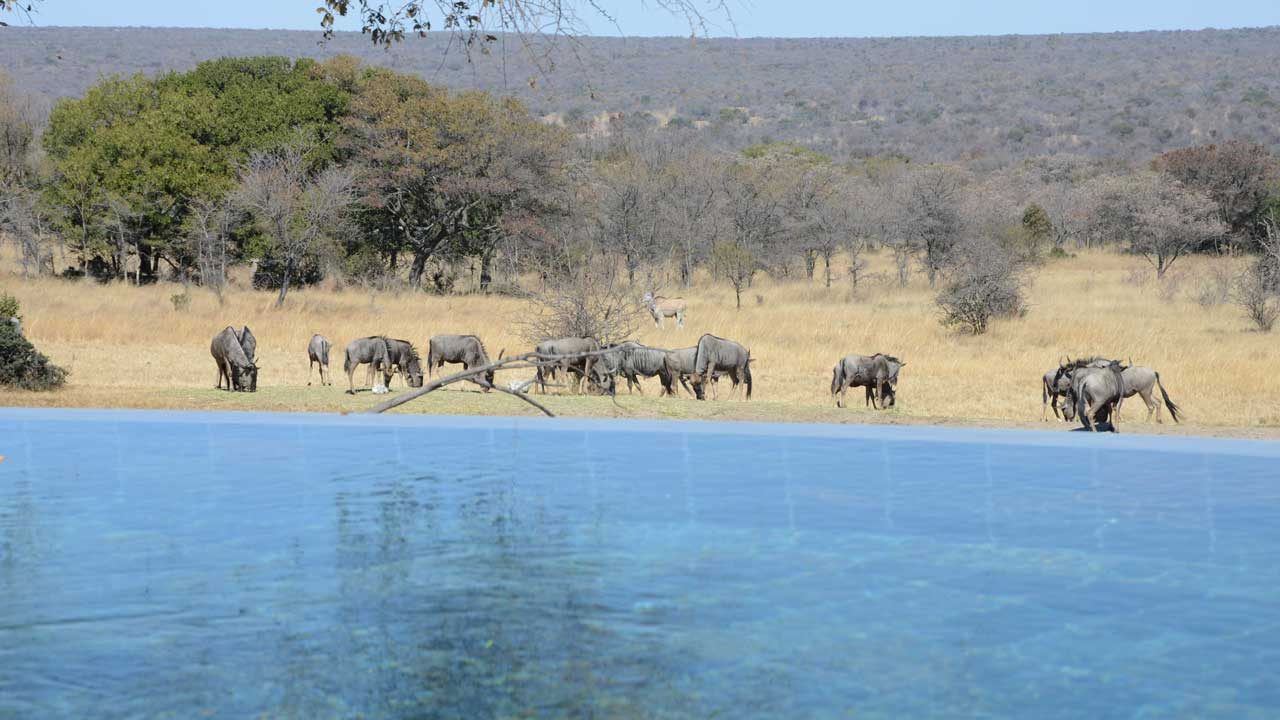 Zangarna Game Lodge - The Central Lodge