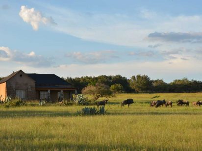 Zangarna Game Lodge