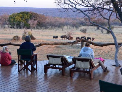 zangarna game lodge