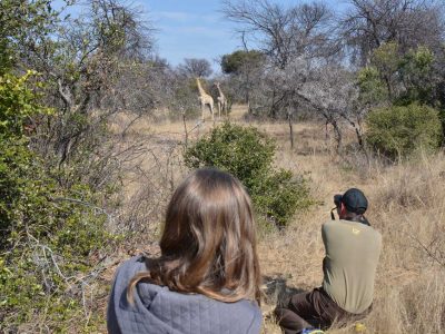 Zangarna Game Lodge - Activities