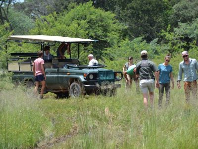 Zangarna Game Lodge - Activities