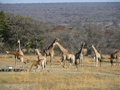 Zangarna Game Lodge